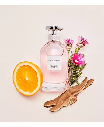 Coach Dreams Eau de Parfum – Fresh, Floral & Fruity Scent for Women (3.0 oz)
